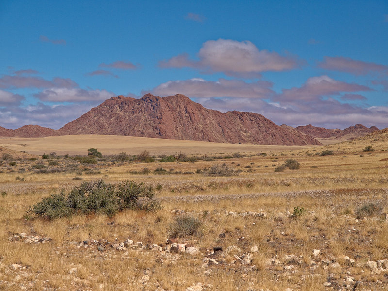 Namib Desert